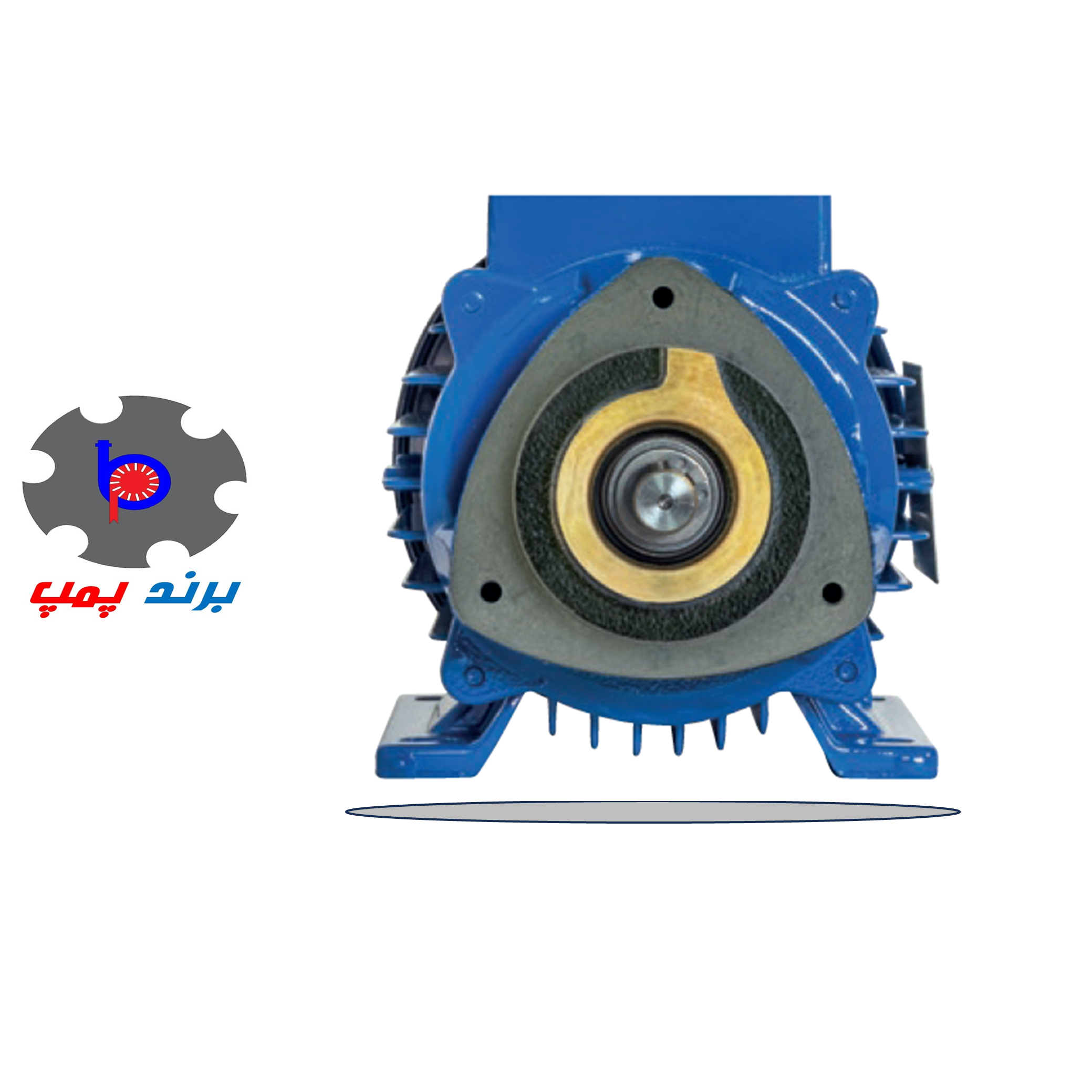 پمپ ایتالیایی اسپرونی محیطی 2